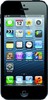 Apple iPhone 5 16GB - Каневская